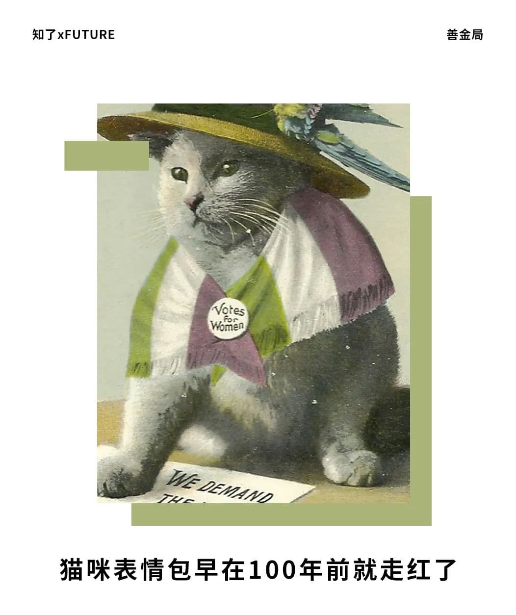 猫咪表情包早在100年前就走红了