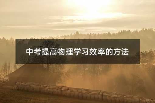 中考物理提分攻略：从知识点到个人学习状况的全面复习指南