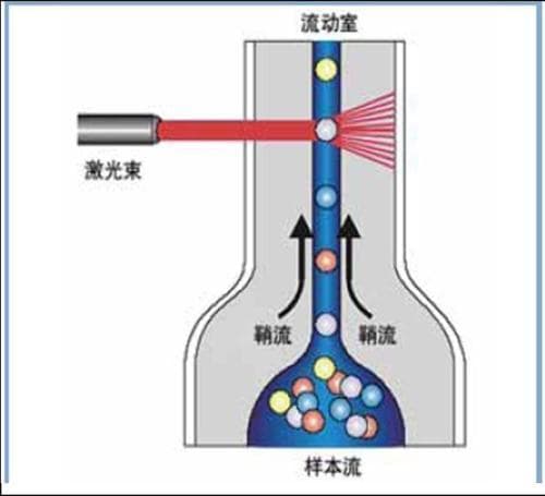 流式细胞术（FCM）的原理