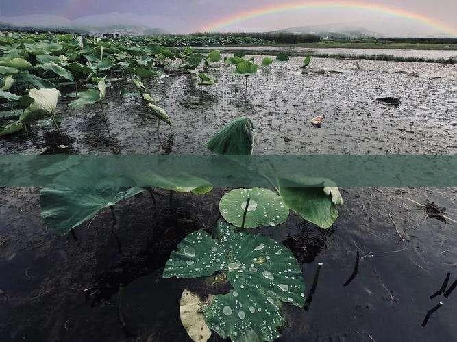 从广州到厦门的沿途风景：途经城市与景点指南