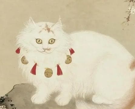古代猫咪——古人生活中的温柔伙伴