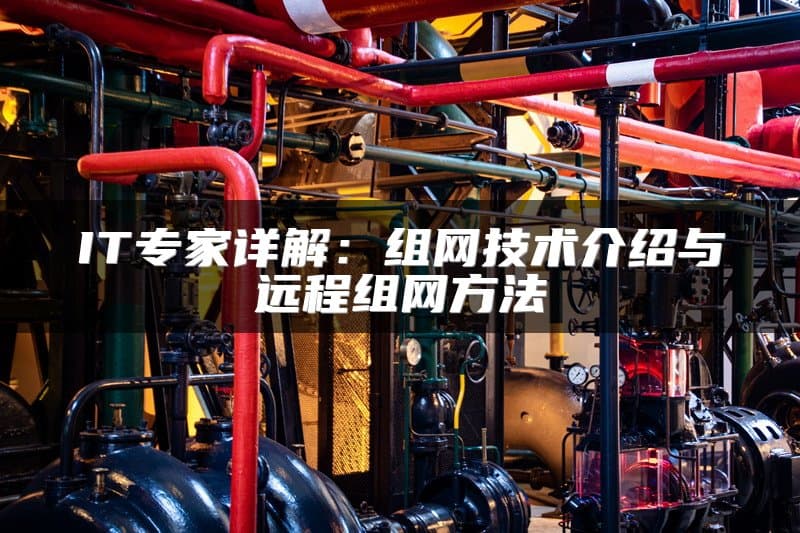 IT专家详解：组网技术介绍与远程组网方法
