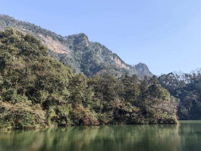 栖息地破碎化威胁动物生存，三大对策助力生物多样性保护
