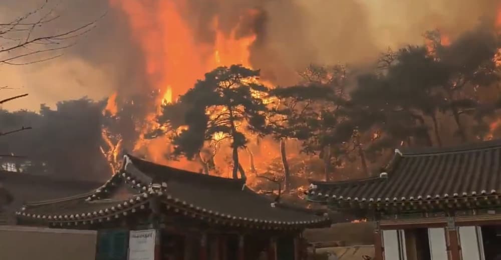 韩国突发灾难级山火，与大范围超级回暖有关，分析：焚风或再扩大