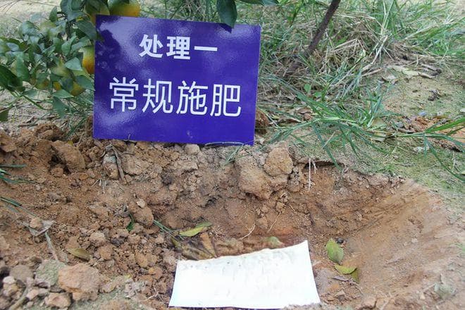 土壤板结怎么办？改善土壤板结有哪些具体措施？