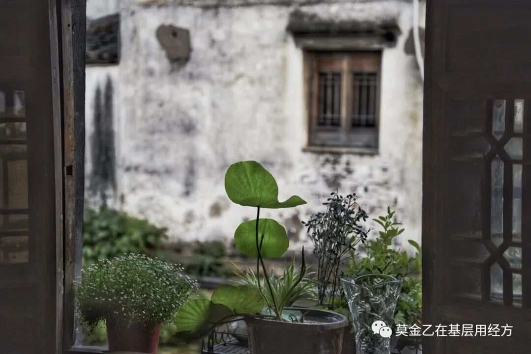 小柴胡汤和柴胡桂枝干姜汤的区别