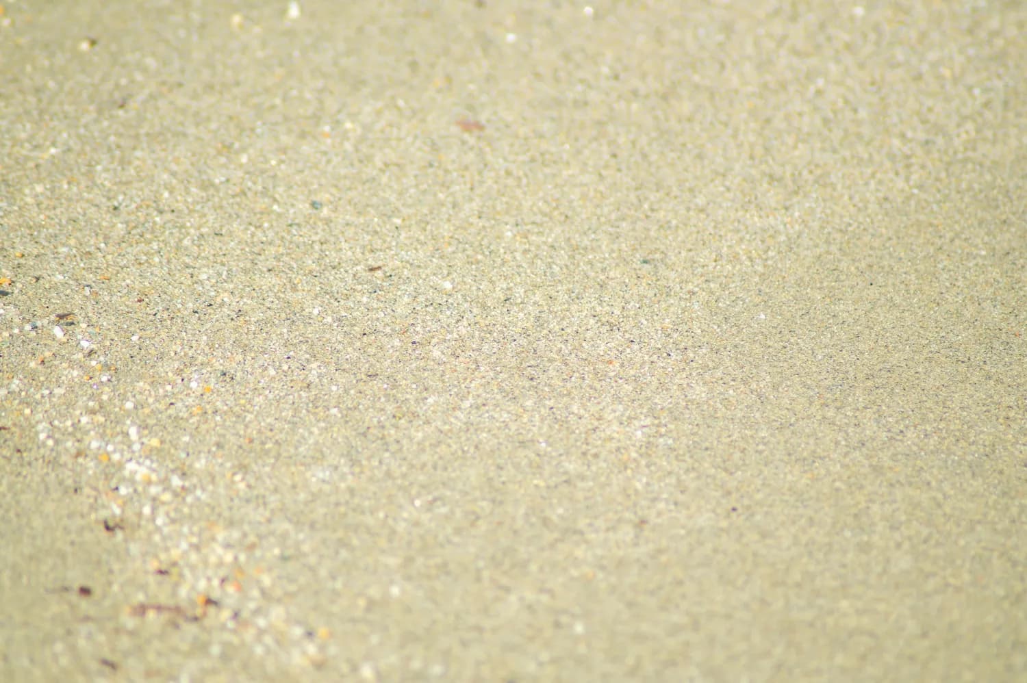 新研究：海滩颗粒大小是海岸变迁关键因素