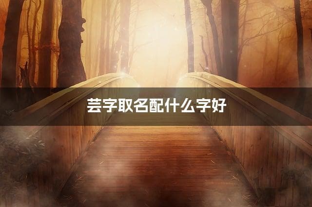 芸字取名配什么字好，带芸字搭配最好听的女孩名字