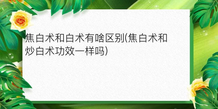 焦白术和白术的区别：从植物学到药性的全面解析