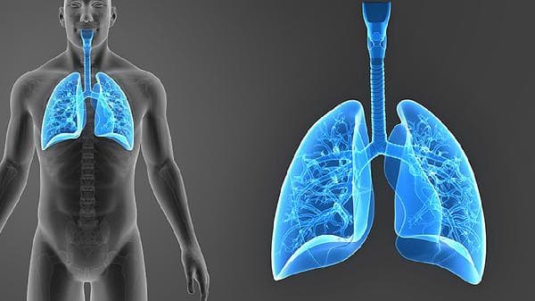 肺栓塞会引起血性胸腔积液吗？原因、治疗与预防全解析
