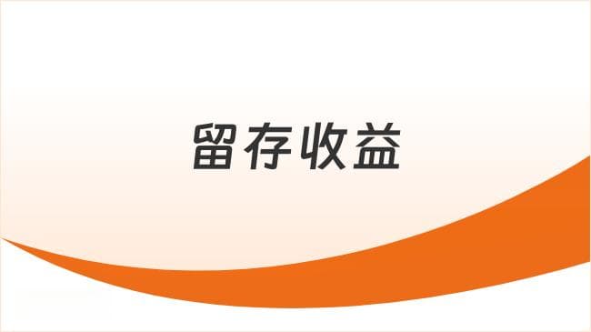 2025年初级会计实务重要考点：留存收益
