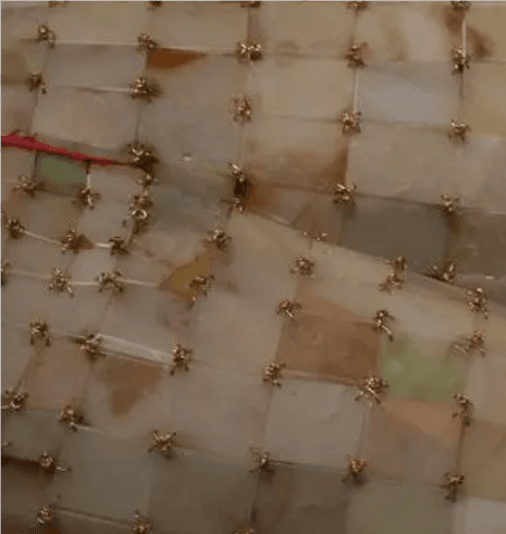 金缕玉衣：古代帝王的葬仪之宝