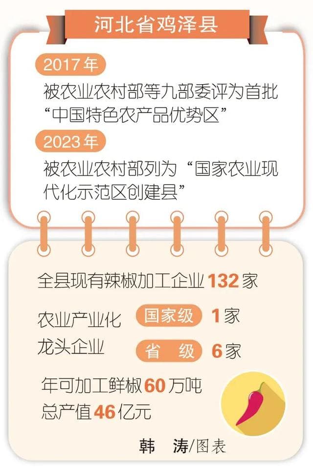 鸡泽辣椒“红”满天：从传统种植到全产业链发展