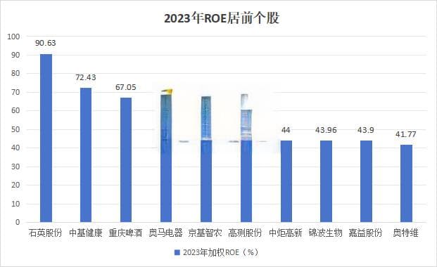 稀缺！ROE连续十年超15%，仅12股