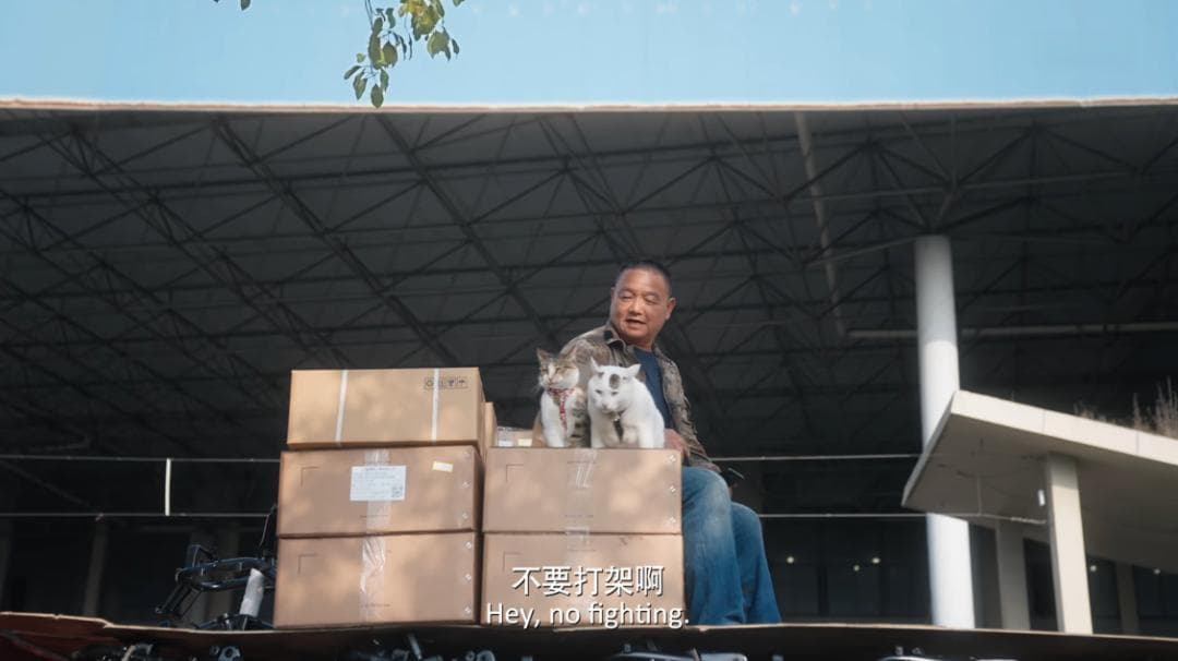 这部9.8分的“猫片”，看哭了无数人