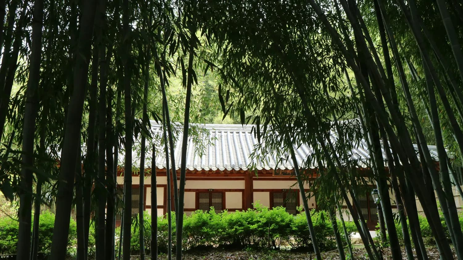 杜甫在成都草堂写下《春夜喜雨》背后的故事