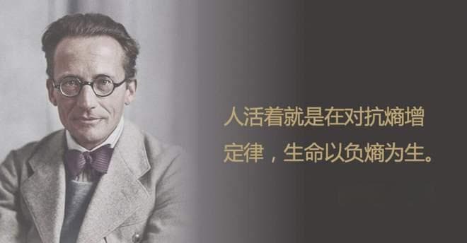 熵增定律：宇宙的终极命运与生命的反抗