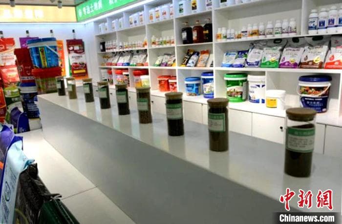 山东滕州探索蔬菜尾菜再利用 “烂菜叶”变身“营养剂”