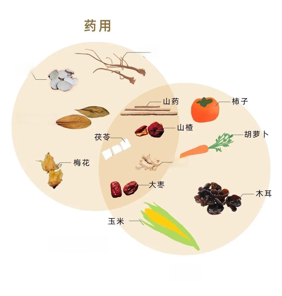 秋季养生，“药食同源”可以做到！