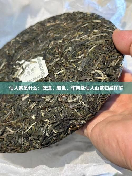 金黄茶汤，三重口感：揭秘仙人茶的独特魅力