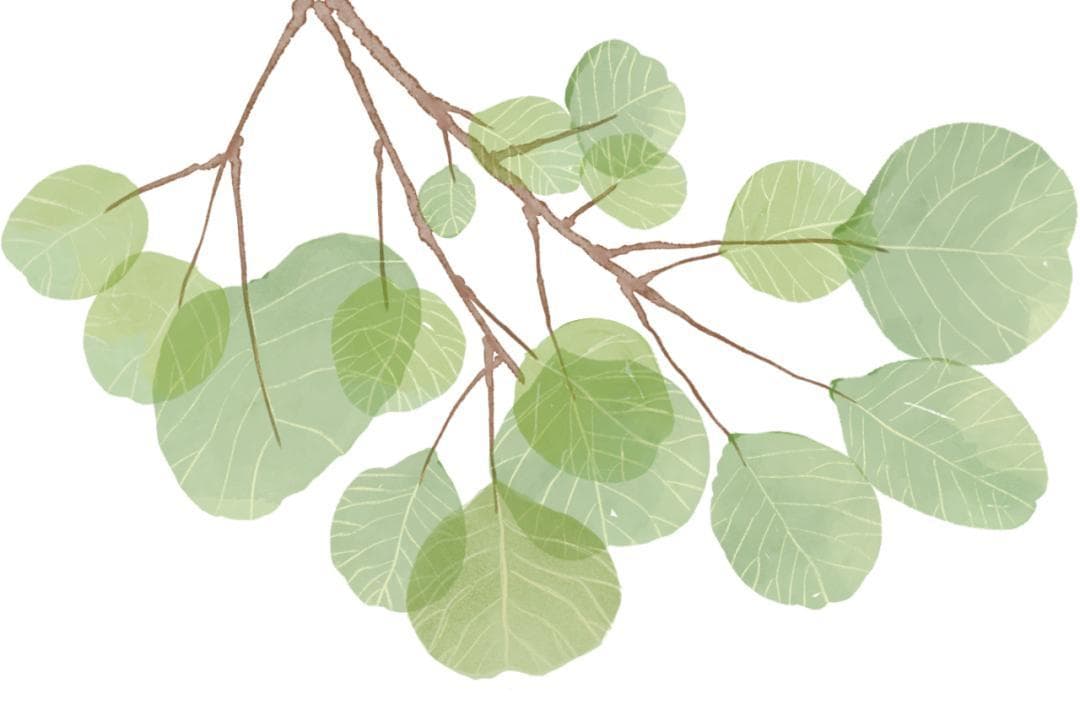 世界传统中医药日 | 弘扬国粹，传承健康