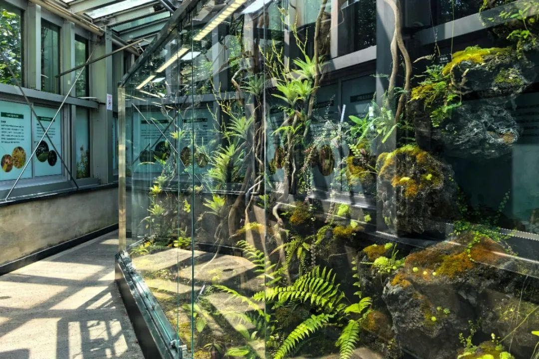 正值颜值巅峰，食虫主题景观缸亮相四季花卉温室
