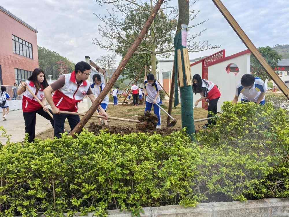 “植”此青绿，肇庆封开师生共“树”未来助力“百千万工程”