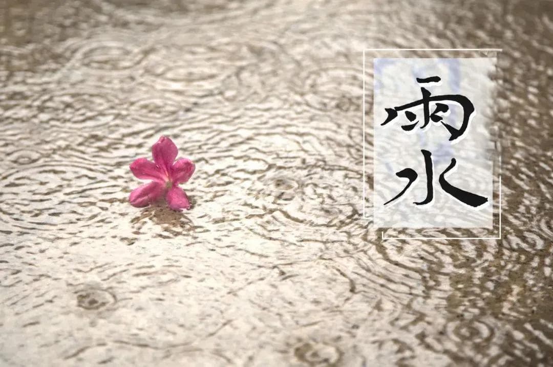 雨水养生 | 重在防湿邪、调脾胃，这份养生攻略请收好