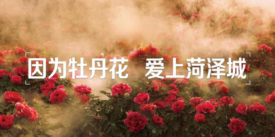 以花会友 以花兴城 —— 菏泽持续擦亮“中国牡丹之都”城市品牌纪实