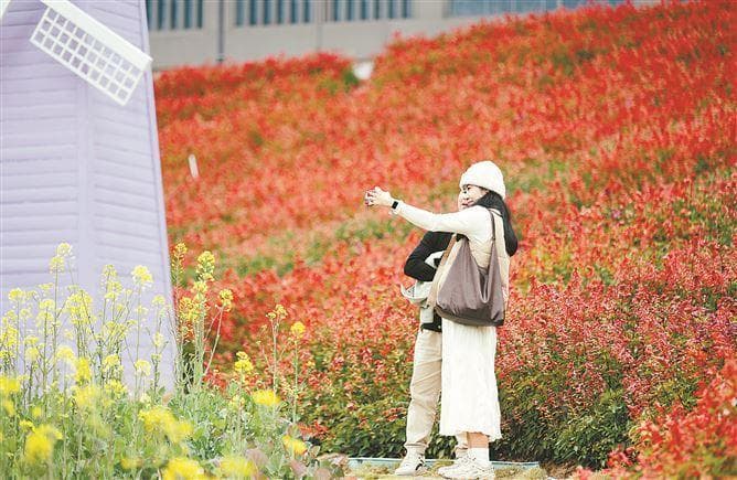 春有约花满城 带上这份攻略去追春吧！