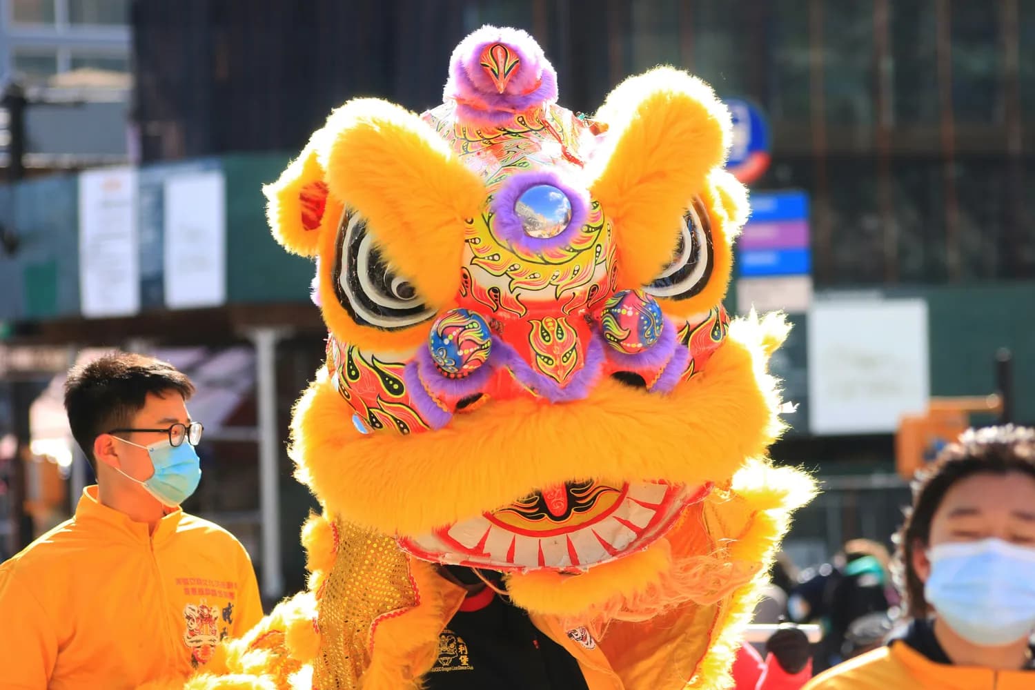 2025年生肖黄历：你的运势大揭秘！