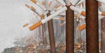 烟头作为一次性塑料如何回收？