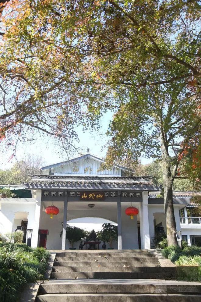 执掌杭州百年老店40周年，她带头研发的千岛湖鱼头杭州排第一，你吃过没有？