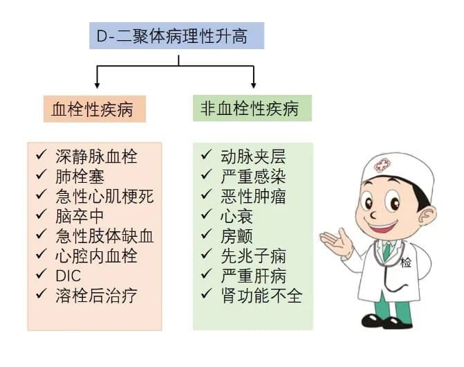 医生为什么建议你做D-二聚体（DD）检测？