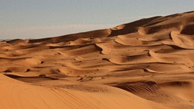 早期人类何时适应沙漠环境？国际最新研究称至少在120万年前