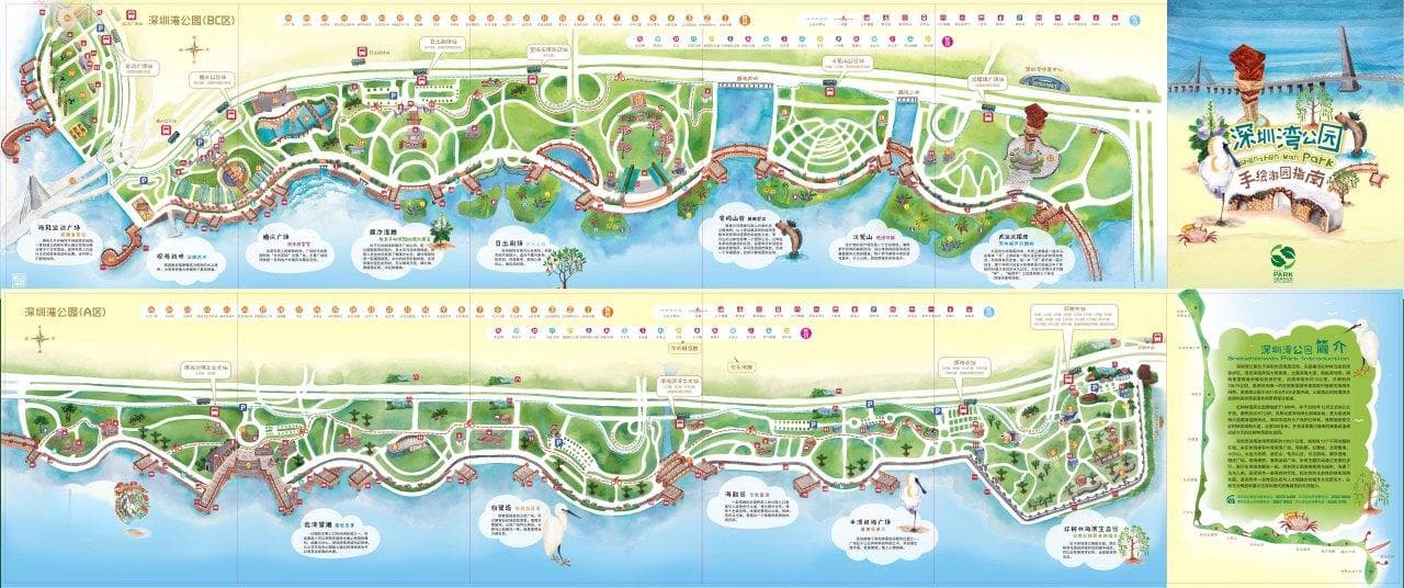 深圳湾公园：13公里海岸线上的城市绿肺