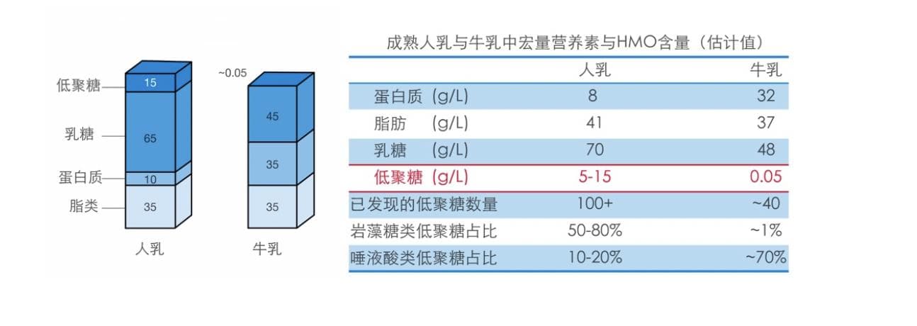母乳低聚糖的研究历史与最新发现