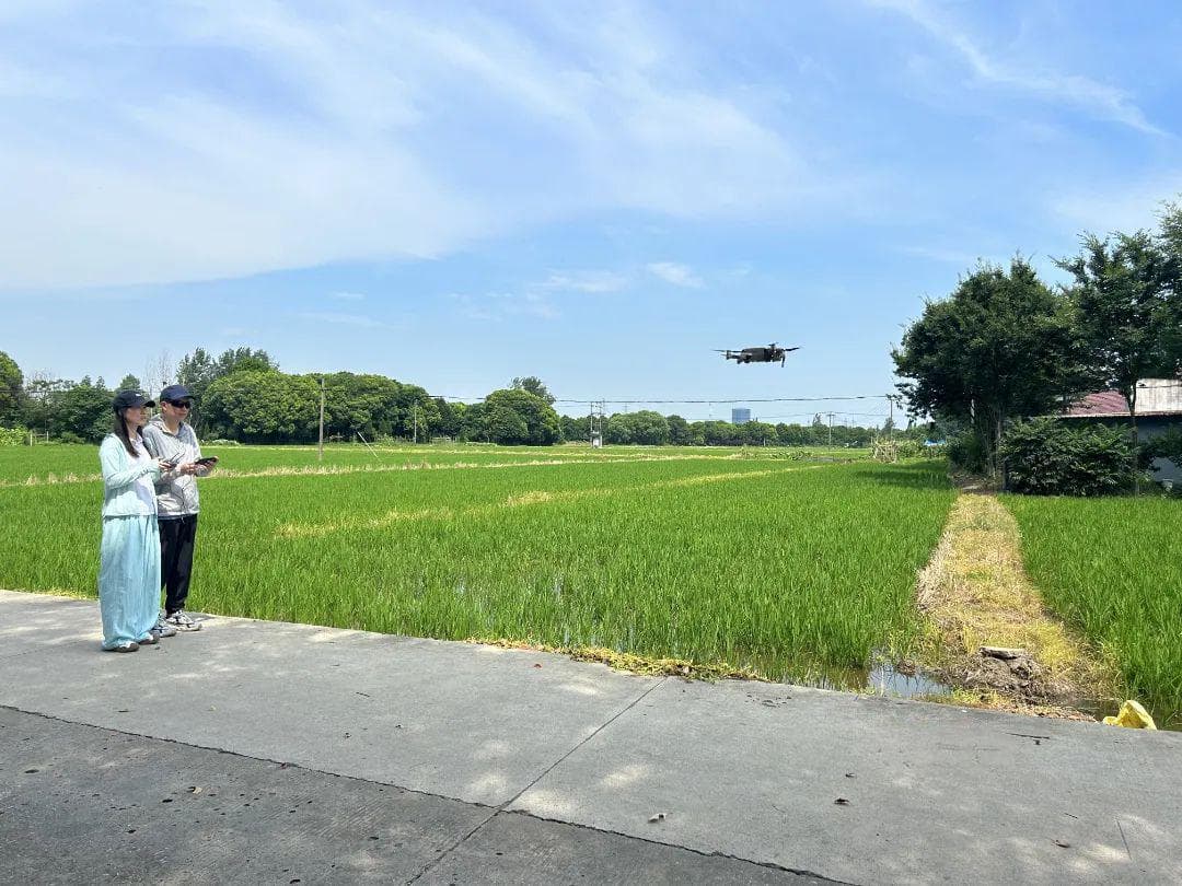 世界粮食日：了解粮食产量抽样调查小知识