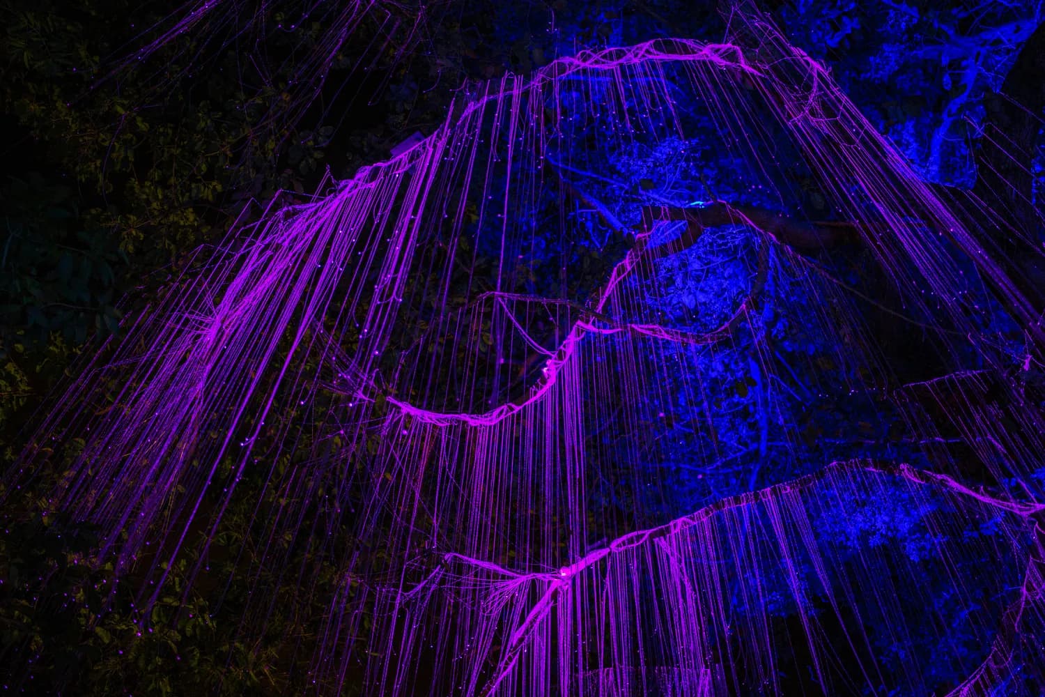 科技点亮黄果树：全国首个5A景区夜游项目吸引300万游客