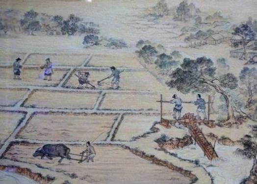 均田制：中国古代的土地分配制度