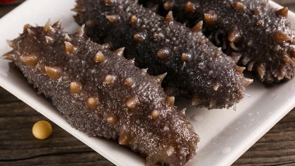 海参的营养价值与食用指南：功效、适宜人群及多种美味做法