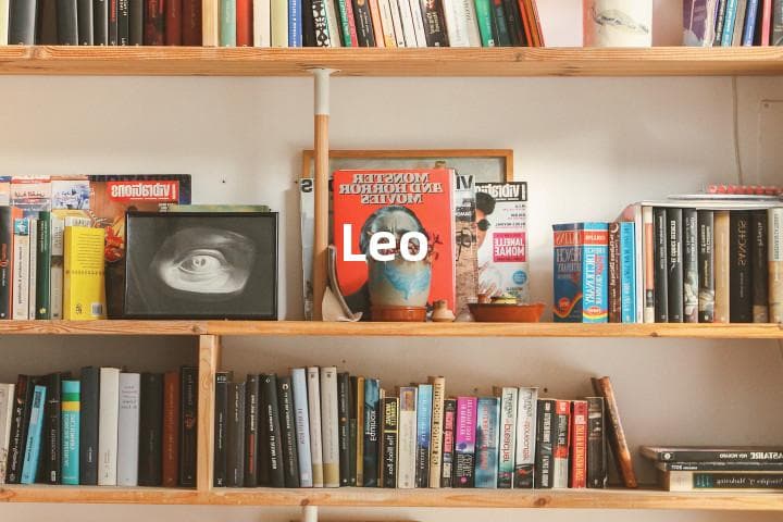 Leo的意思