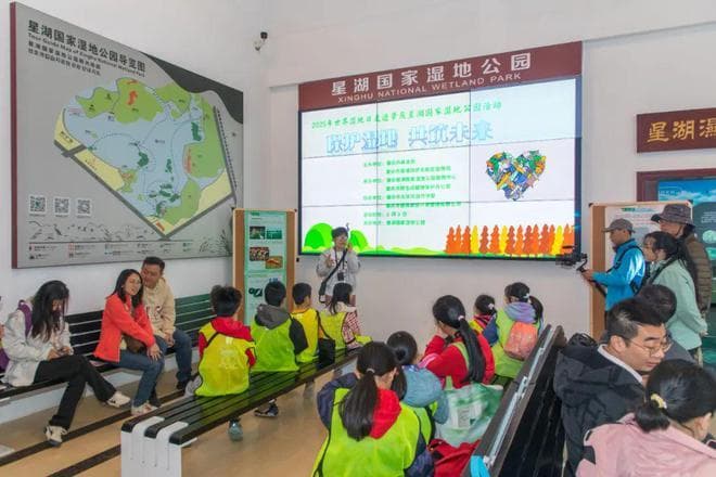 世界湿地日：湿地观鸟度佳节，共筑生态新未来