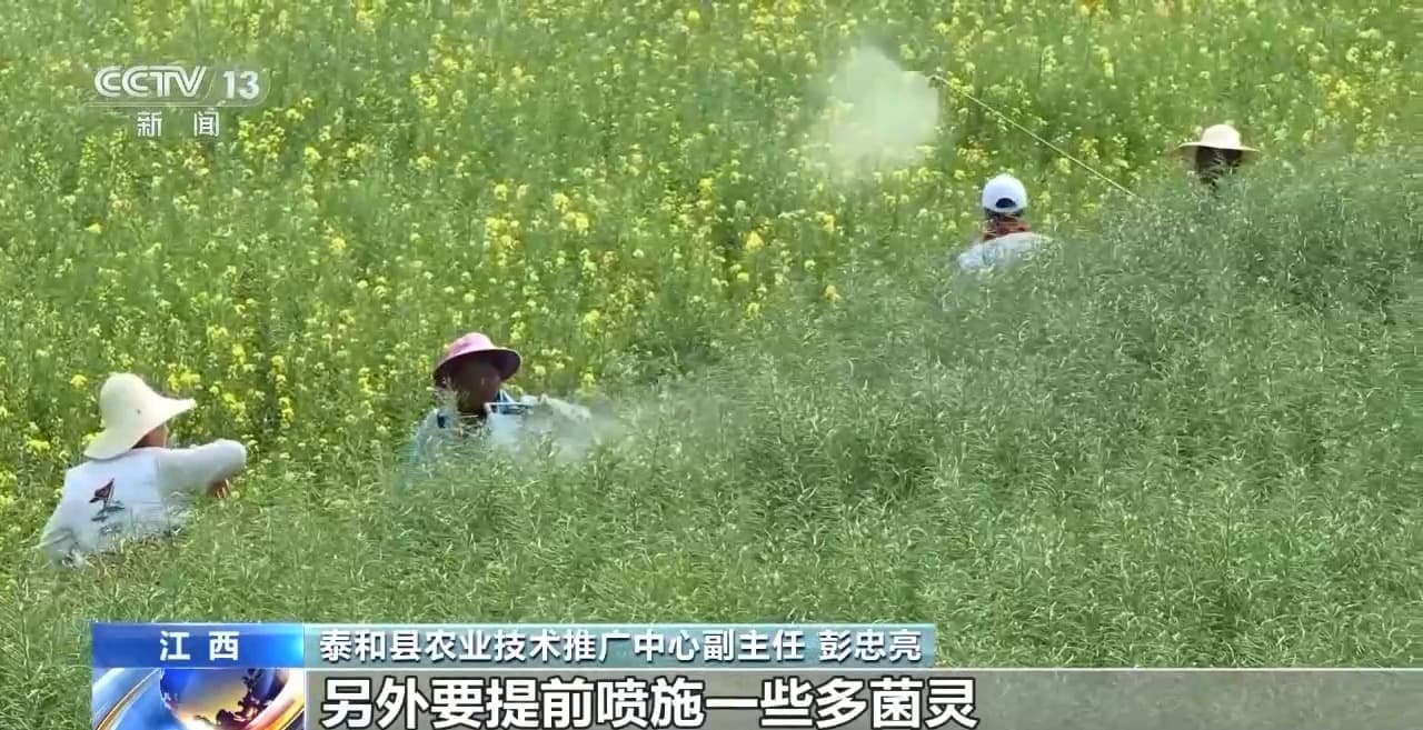 寒潮来袭！中东部地区降温对春耕春管影响几何？
