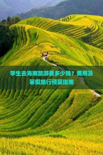 学生去海南旅游要多少钱？费用及寒假旅行预算指南