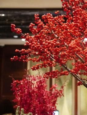 春节习俗全攻略：从传统礼仪到现代风尚，让孩子们感受最地道的年味