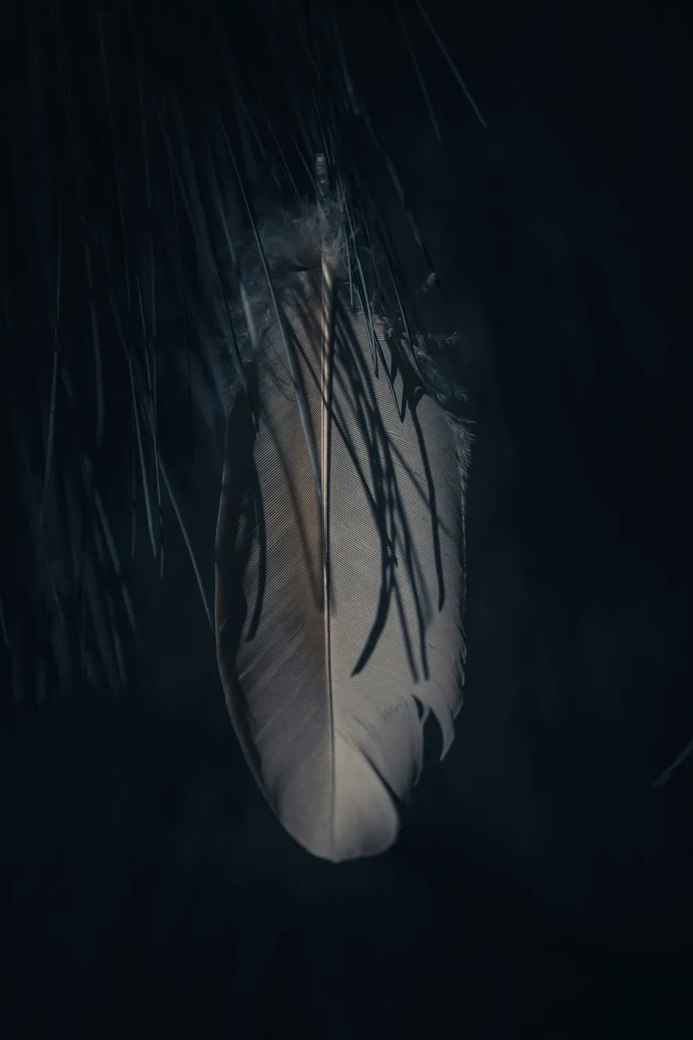 《隐形的翅膀》：一首歌如何帮助人们摆脱心理阴霾