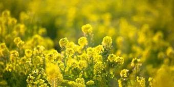最受欢迎的十部律政电视剧：国产高分律政剧榜单
