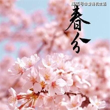 春分的“分”是什么意思？春分与秋分的区别详解