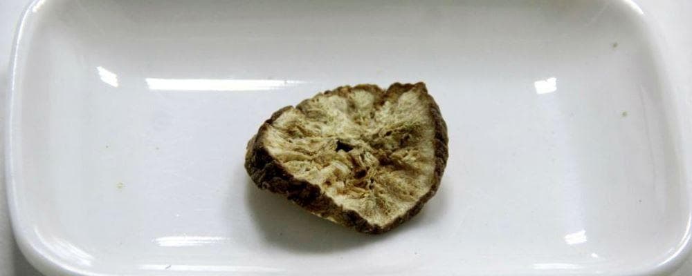 什么是菊苣 菊苣的功效与作用